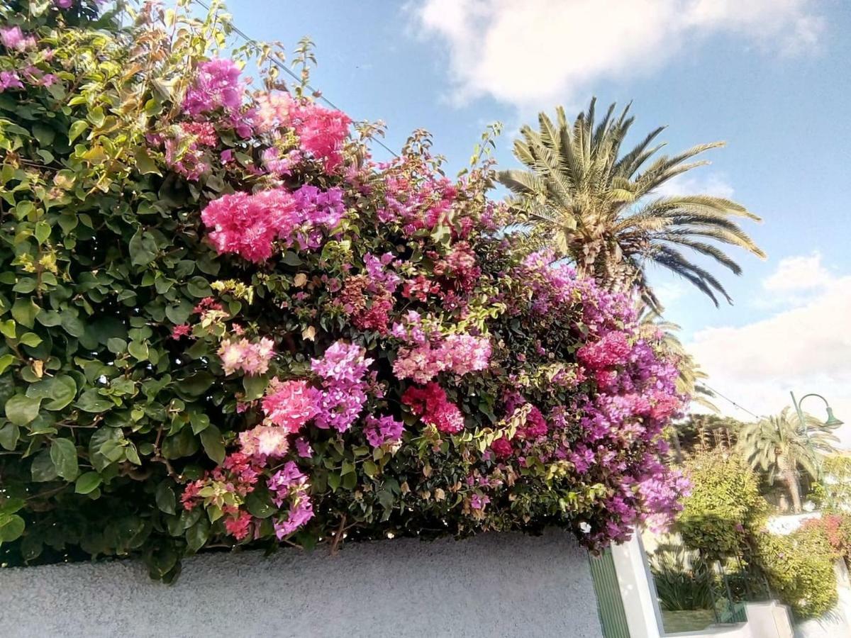 Canico Gardensea Lägenhet Exteriör bild